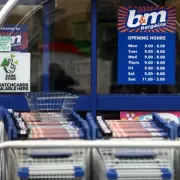 B&M's £1.50 'Graceful' Sculpture Adds Beauty to Homes