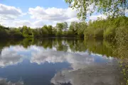 Body of Missing Teen Declan Sawyer Found in Lincoln Lake