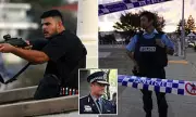 Bondi Beach Terror Attack: 10 Killed in First 29 Seconds, Royal Commission Hears
