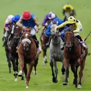 Bow Echo 4-1 Fancy for 2,000 Guineas at Newmarket: Saturday Racing Tips