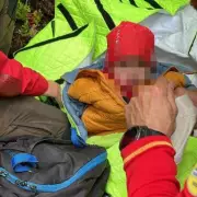Boy, 5, Found Alive After Three Days in Bear-Infested Romanian Forest