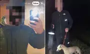 Boys Spared Jail for Rape Could Face Tougher Sentences After Review