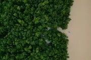 Brazil Commits $617.5M to Amazon Ecological Investment Plan