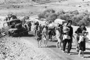 Britain Must Confront Its Colonial Legacy in Palestine, Says Dale Vince