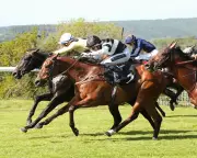 British racing on alert as equine flu cases surge across the country