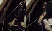 British Tourist Rescued from Marina in Spain by Quick-Thinking Security Staff