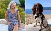 British Woman Missing in Spain After Camper Van Stolen