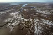California, Arizona, Nevada Propose Voluntary Colorado River Water Cuts