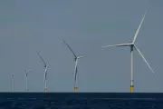 California Probes Trump Offshore Wind Lease Buyout Deal