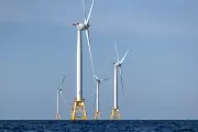 California Probes Trump's $2B Deal to Scrap Offshore Wind