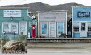 California Tortoise Law Threatens Survival of Historic Mining Town Randsburg