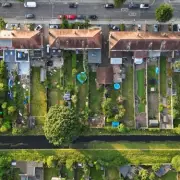 Can I Trim My Neighbour's Overhanging Tree Branches? Experts Agree