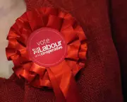 Can Labour Win Back Working-Class Voters Lost to Reform UK?