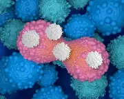 CAR T-Cell Therapy: A Game-Changer in Cancer Treatment, Says Experts