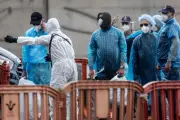CDC Chief Reassures Public on Hantavirus Outbreak: 'This Is Not Covid'