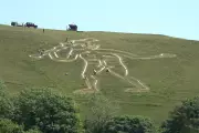 Cerne Abbas Giant Gets Once-a-Decade Makeover with 17 Tonnes of Chalk