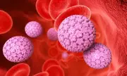 Cervical Cancer Elimination by 2048 Predicted for Wealthy Nations
