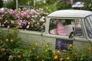 Chelsea Flower Show Sells Out for First Time Since Before Covid