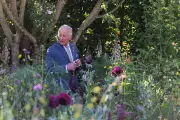 Chelsea Flower Show Welcomes Royals, Celebrities, and Garden Gnomes