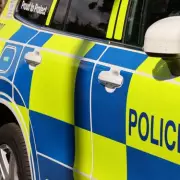 Child, 4, and Three Adults Injured in Dog Attack in Middlesbrough