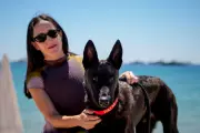 Chilean Film 'La Perra' Wins Palm Dog Award at Cannes Festival