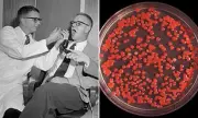 CIA's MKUltra Mind Control Program Faces New Scrutiny from Lawmakers