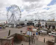 Clacton-on-Sea named England's worst 'tree desert' in new study