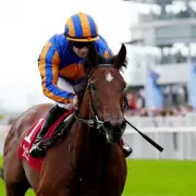 Constitution River and Rahiebb Headline Chester for ITV4 Racing