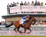 Constitution River Dominates Dee Stakes, Bolstering Derby Credentials