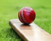County Cricket Day Three: Hampshire Lead Notts, Yorkshire Trail Surrey