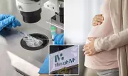 Couple Sues Monash IVF Over Embryo Mix-Up Causing Psychiatric Injury