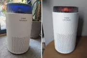 Coway Airmega 50 Air Purifier Review: Best Budget Option for Hay Fever
