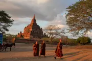 Daily Life Around the World in Photos: A Captivating Visual Journey