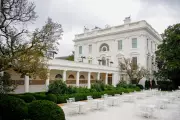 Dana White Warns of Gnat Infestation at Trump's White House UFC Event
