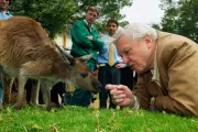 David Attenborough Turns 100: Celebrating a Life of Wildlife Wonders