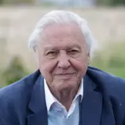 David Attenborough Urges Brits to Leave Sugar Water for Bees