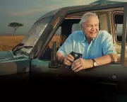 David Attenborough's '100 Years on Planet Earth' Airs on BBC