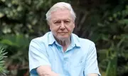 David Attenborough's 100th Birthday: Longevity Secrets from Centenarians