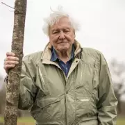 David Attenborough's 100th Birthday Marked by BBC Event with Three National Treasures
