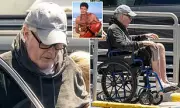David Hasselhoff Seen in Wheelchair After Surgery, Sparks Health Concerns