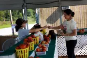 Del Monte Closure Forces Removal of 420,000 Peach Trees in California