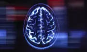 Dementia Patients Failed at Every Stage of Care, Landmark Report Warns