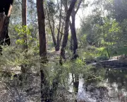 Developer Scraps Perth Data Centre Plans After Community Backlash