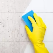 DIY 4-Ingredient Spray Makes Bathrooms Sparkle and Mould-Free