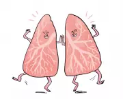 Do Your Lungs Regenerate After Quitting Smoking? Experts Explain