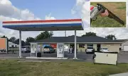 Dog Accidentally Shoots Man Outside Nebraska Convenience Store