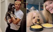 Dog Owners Ditch Kibble for Fresh, Human-Grade Meals for Their Pets