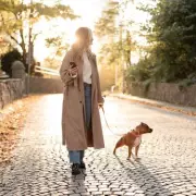 Dog Trainer Warns Flat Owners: No Walks in Heatwave