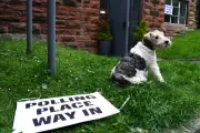 Dogs Join Owners at Polling Stations as UK Votes in Key Elections