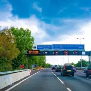 Drivers Warned of £5,000 Fine for Unsecured Pets in Cars
